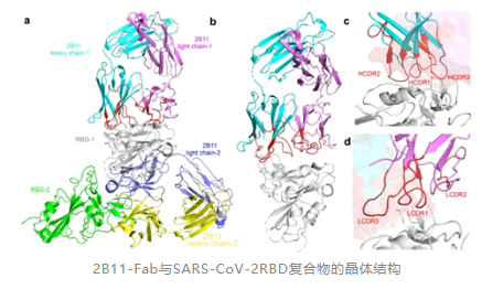 微信截图_20210809085121.png